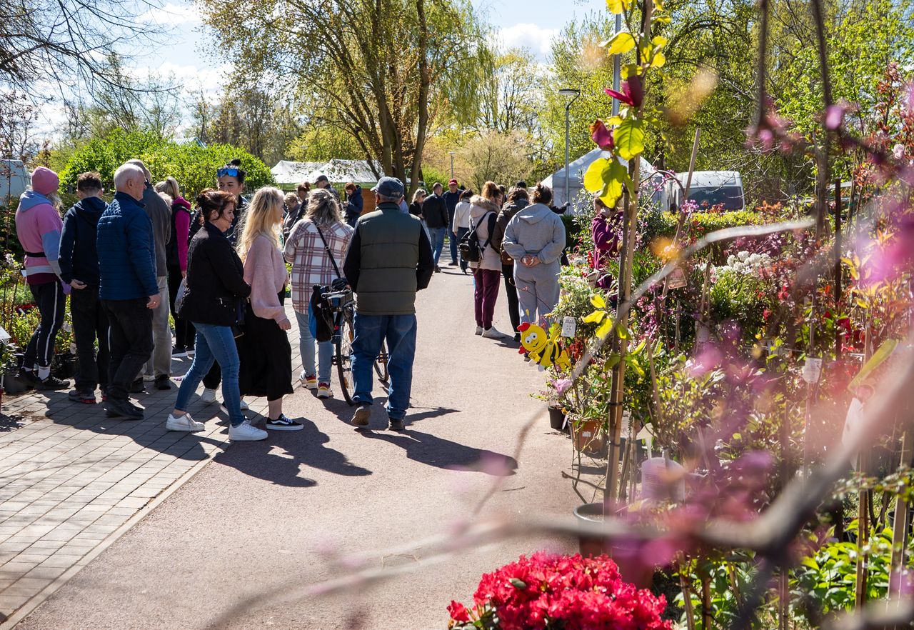 Piła, Wystawa Miasto - Ogród, 2026