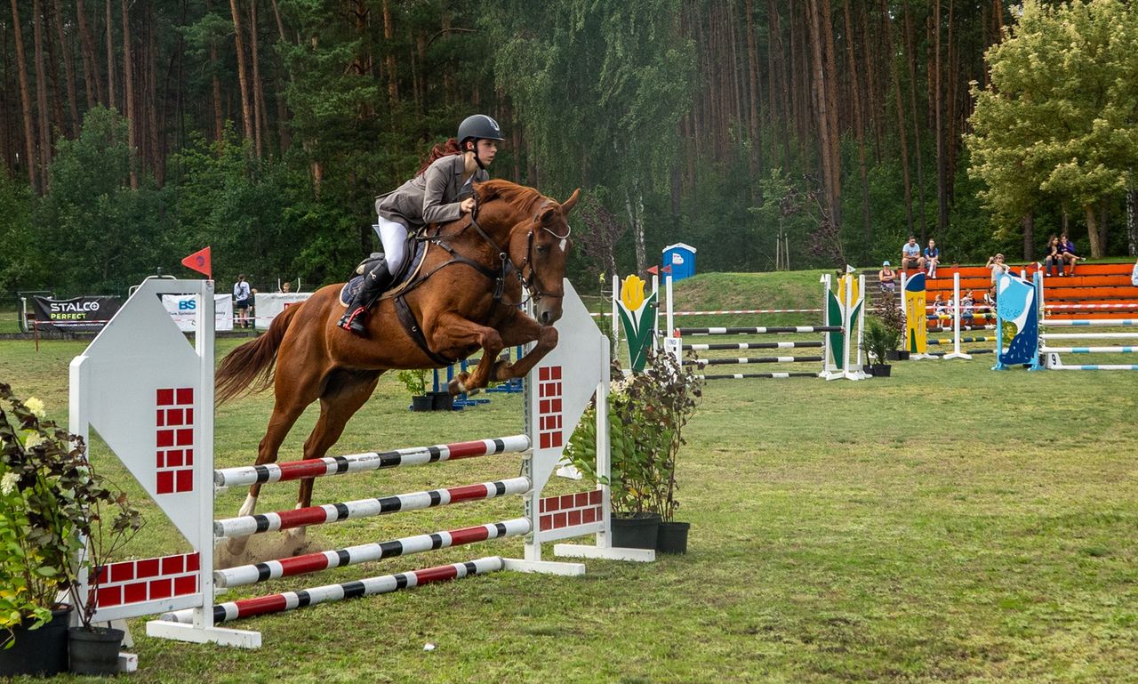 Gala Jeździecka, Dziembówko