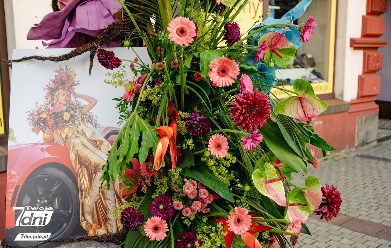 Festiwal 
Kwiatów, Czarnków