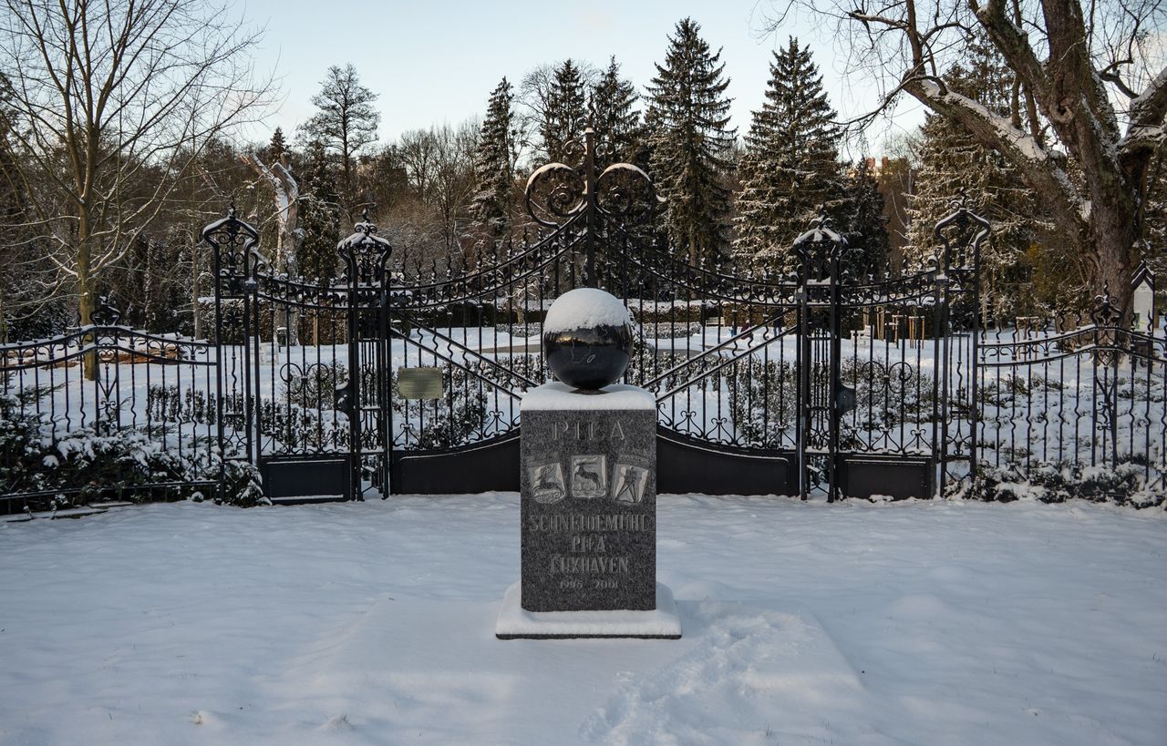 Park Miejski Piła, zima, śnieg, styczeń 2026