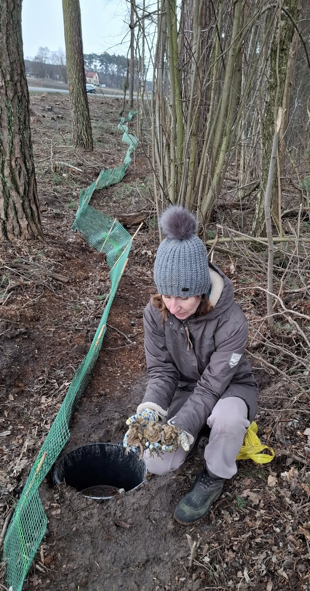 Nadleśnictwo Płock 