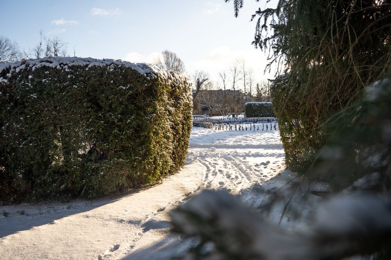 Park Miejski Piła, zima, śnieg, styczeń 2026