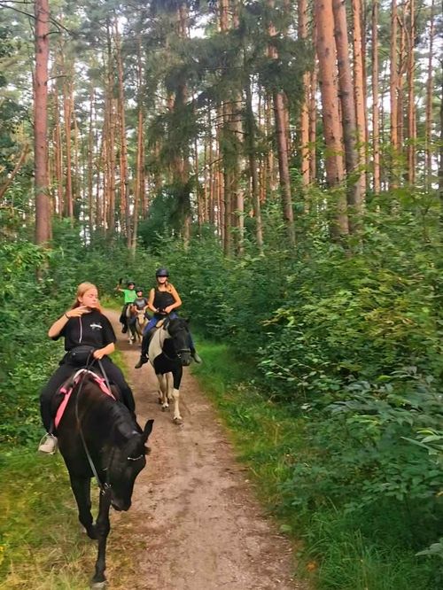 FUNDACJA ELDORADO & KUCYKOMANIA