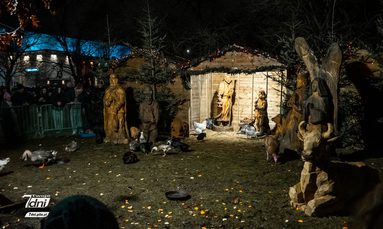 Piła, Jarmark Bożonarodzeniowy, 2025