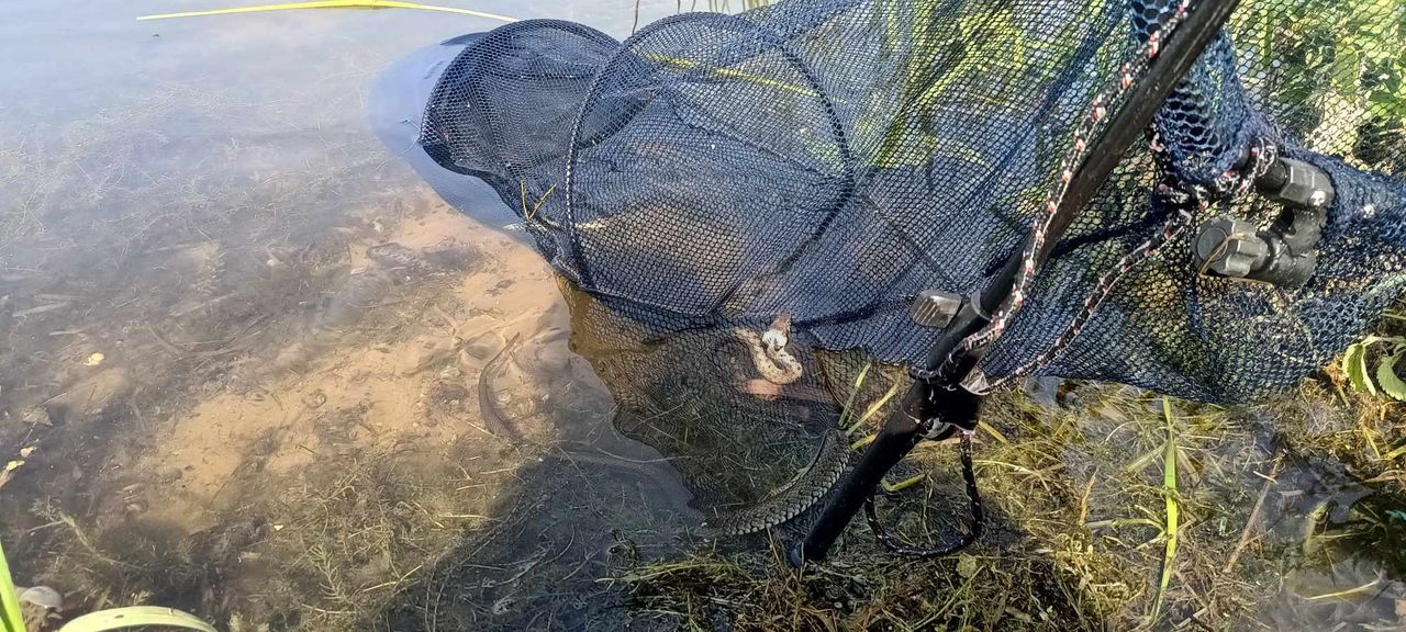 Dzień Dziecka w Soczewce 