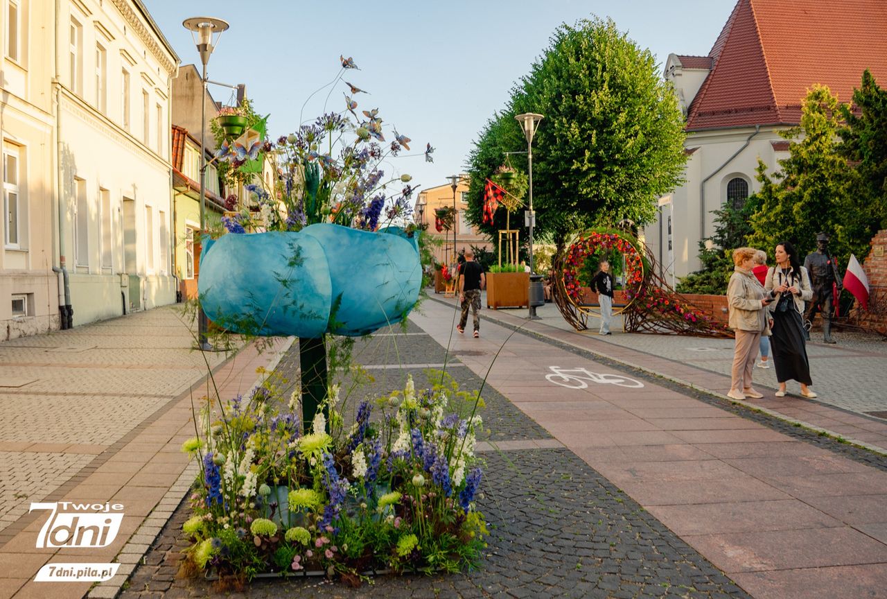 Festiwal 
Kwiatów, Czarnków