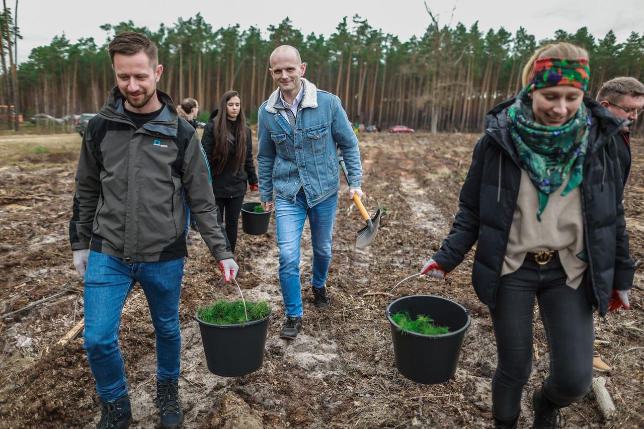 Wiosenne sadzenie drzew!