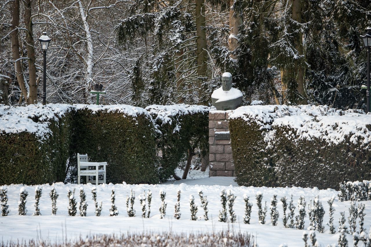 Park Miejski Piła, zima, śnieg, styczeń 2026