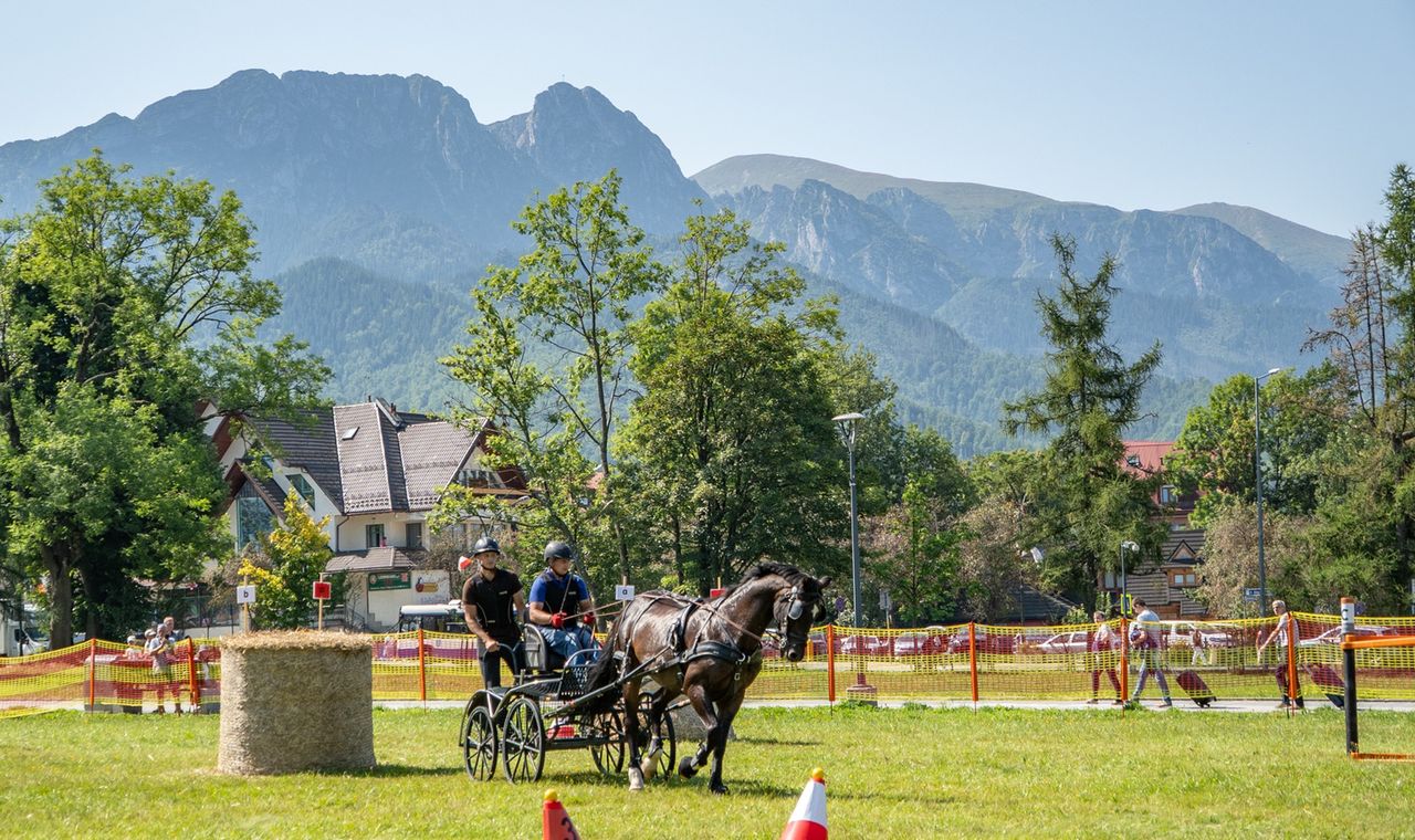 Podhale, Zakopane, powożenie, konie