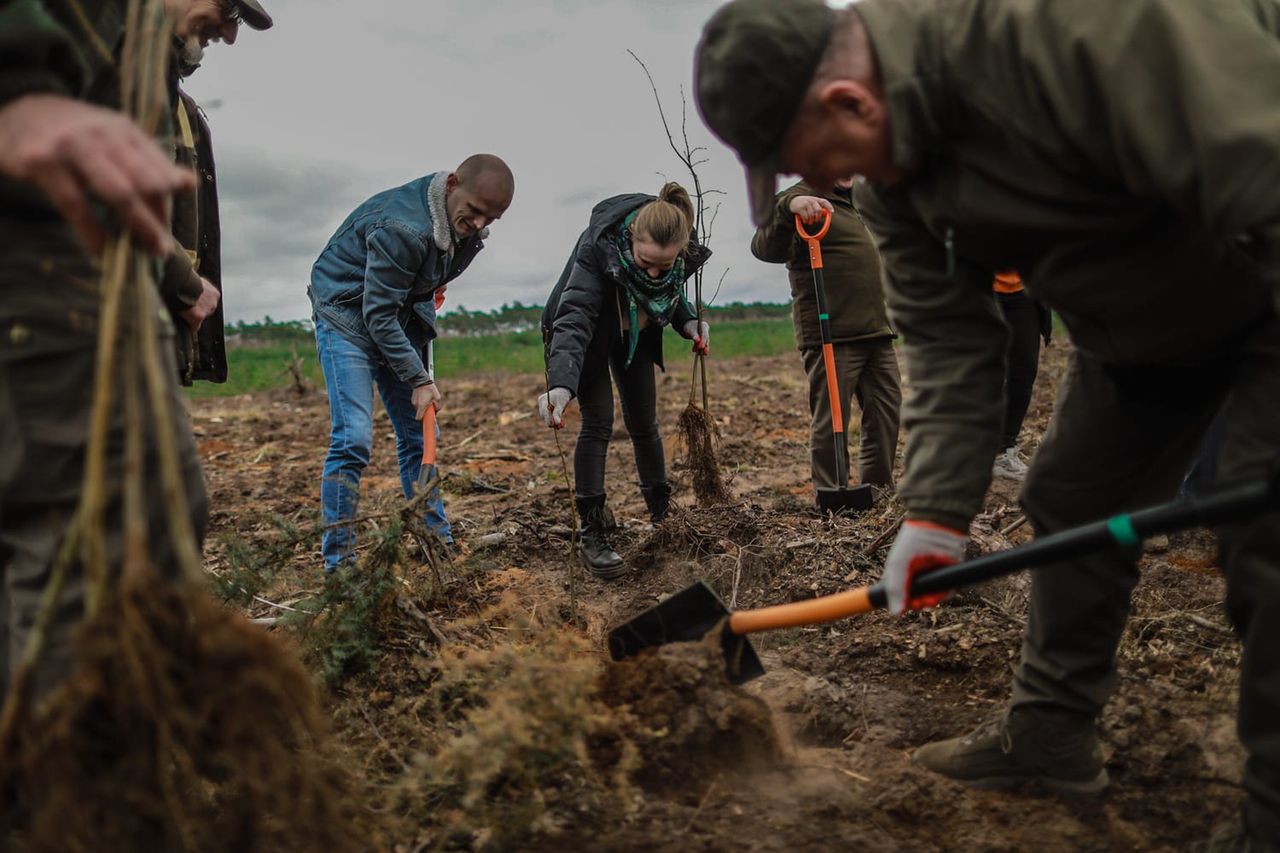 Wiosenne sadzenie drzew!