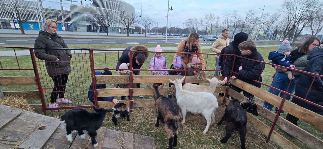 33. Finał Wielkiej Orkiestry Świątecznej Pomocy