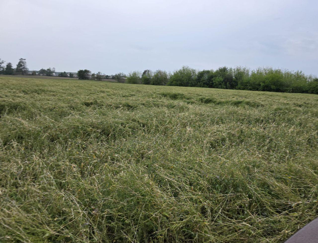 Wizyta Ministra Rolnictwa 