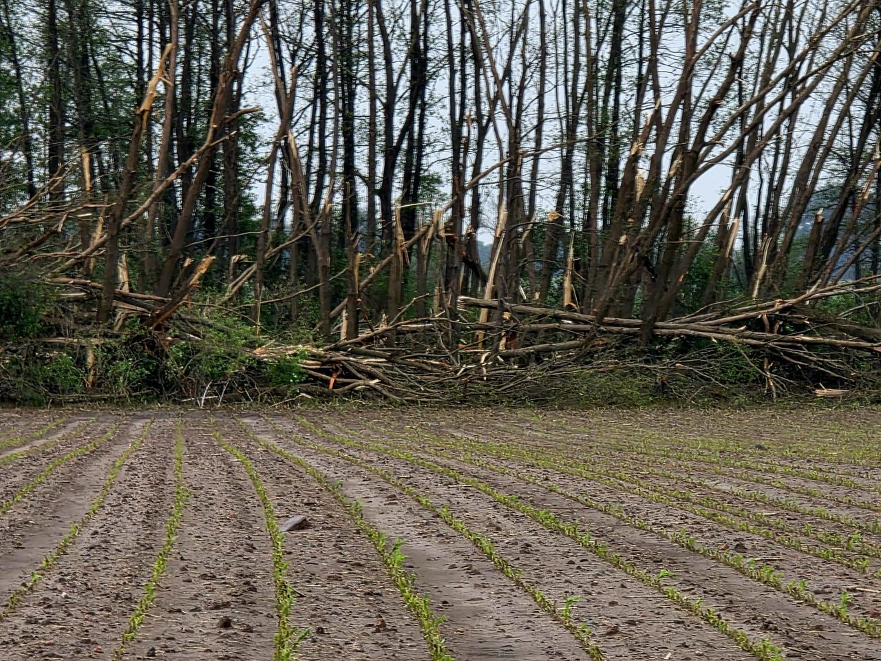 Wizyta Ministra Rolnictwa 