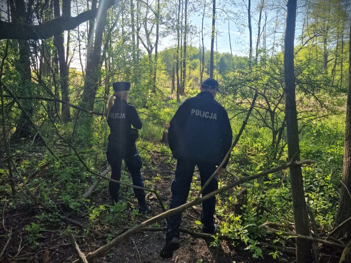 Poszukiwania nastolatki 