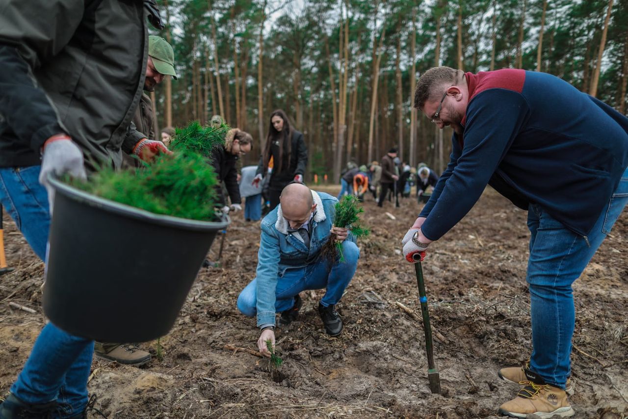 Wiosenne sadzenie drzew!
