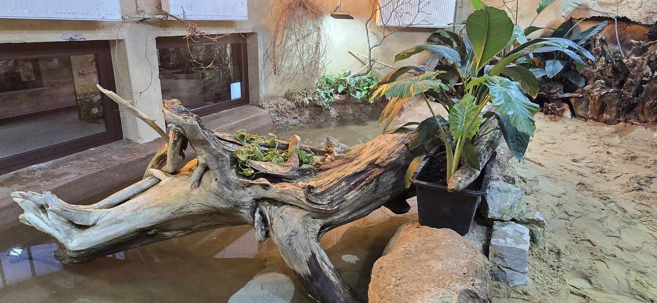 Nowe lokum i mural w ZOO Płock