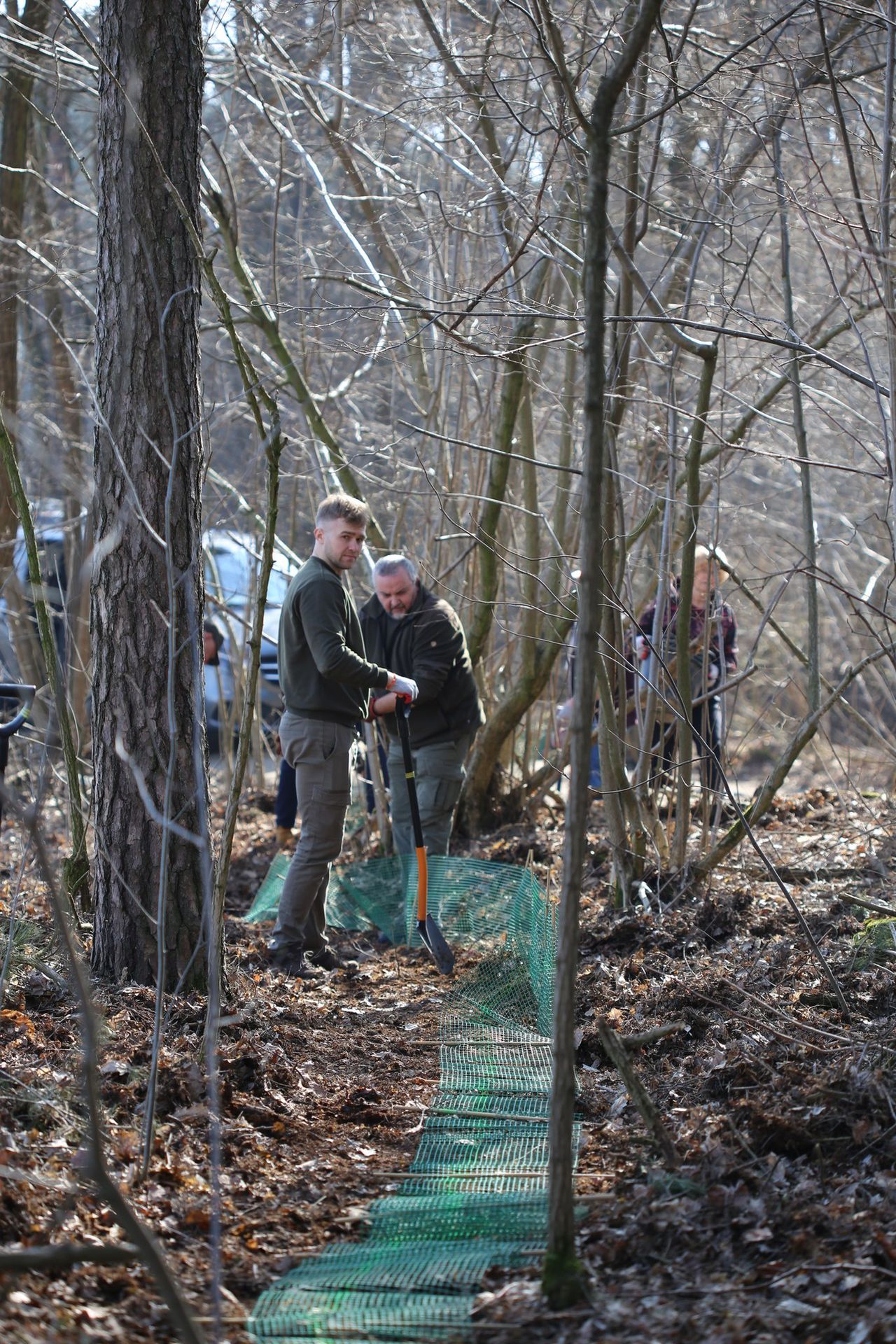 Nadleśnictwo Płock