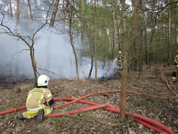 Pożar lasu