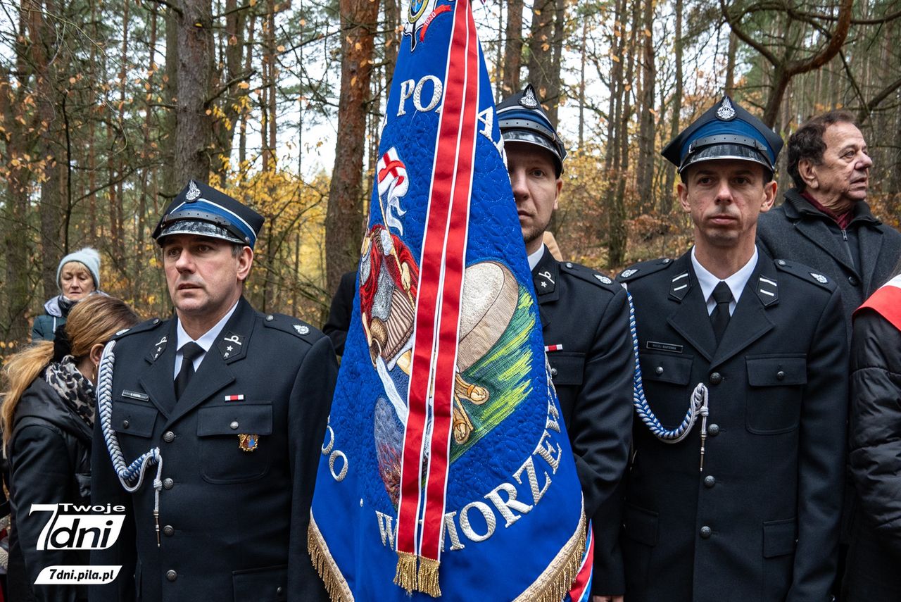 Uroczystości na Wzgórzach Morzewskich. 