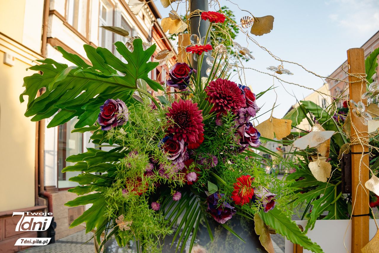 Festiwal Kwiatów, Czarnków