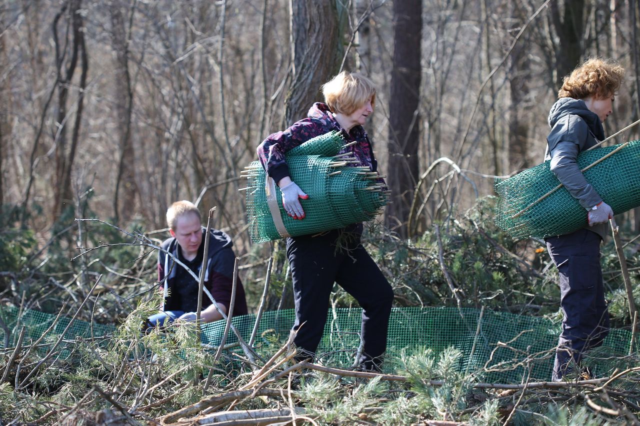 Nadleśnictwo Płock