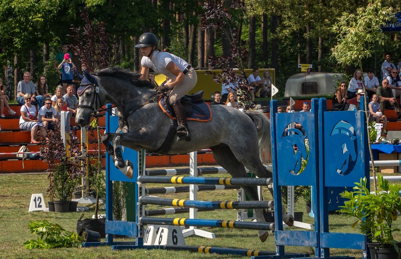 Gala Jeździecka, Dziembówko, 2025