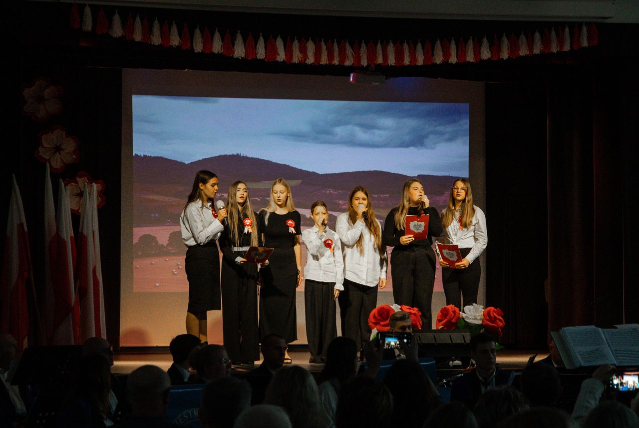 11 Listopada, Kaczory