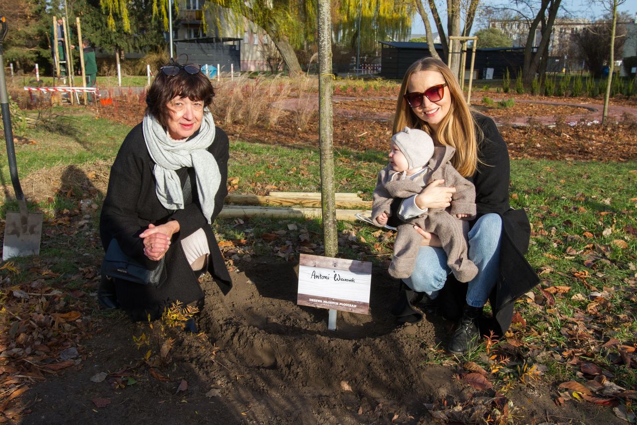 Drzewa młodych Płocczan