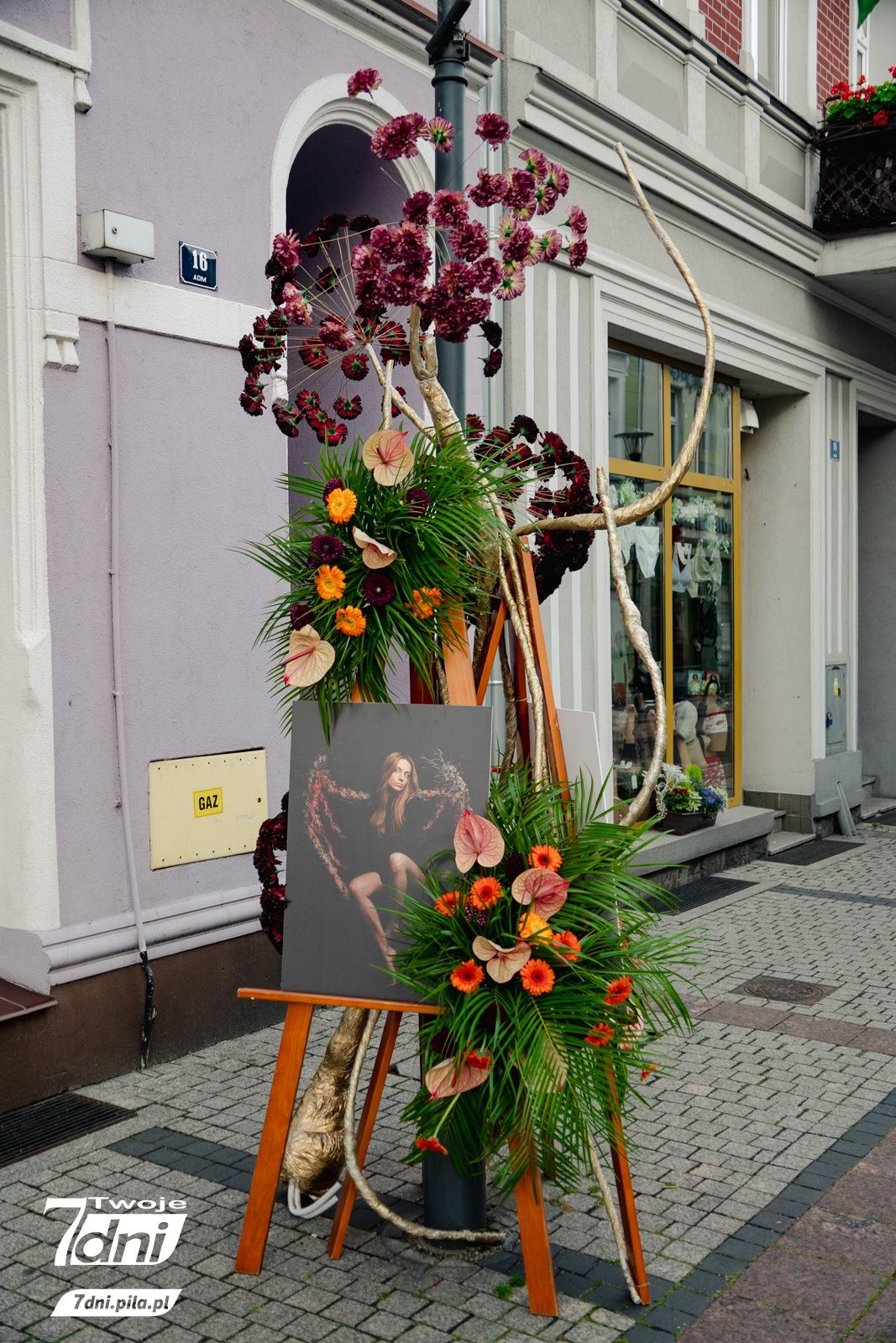 Festiwal 
Kwiatów, Czarnków