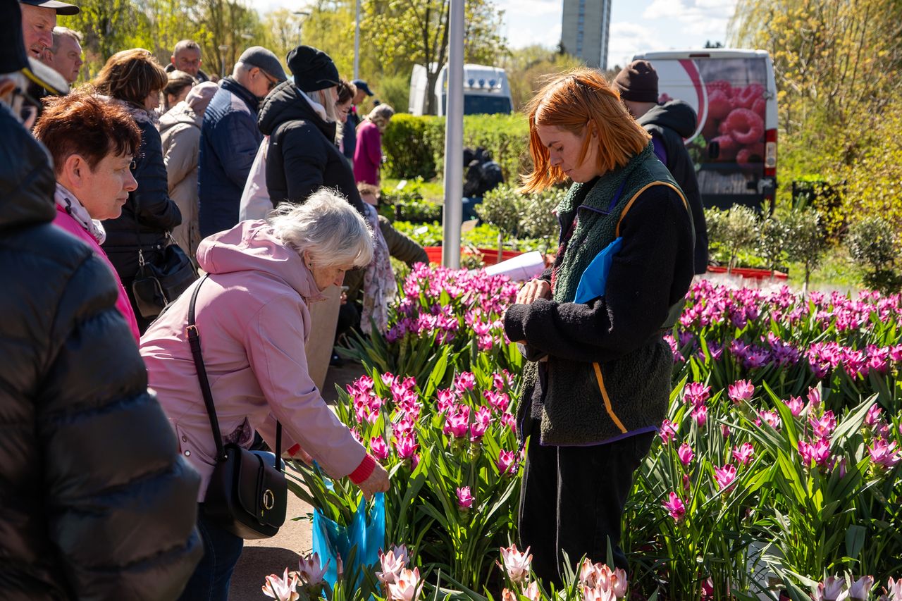 Piła, Wystawa Miasto - Ogród, 2026