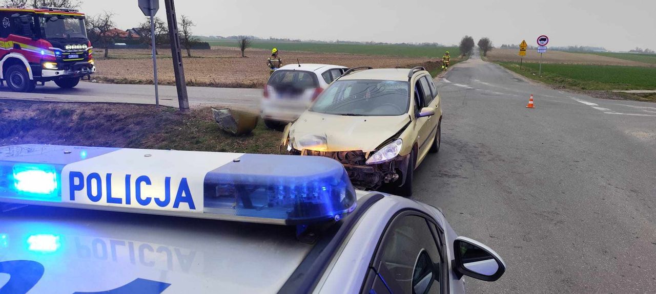 Zdarzenie drogowe w Rogozinie