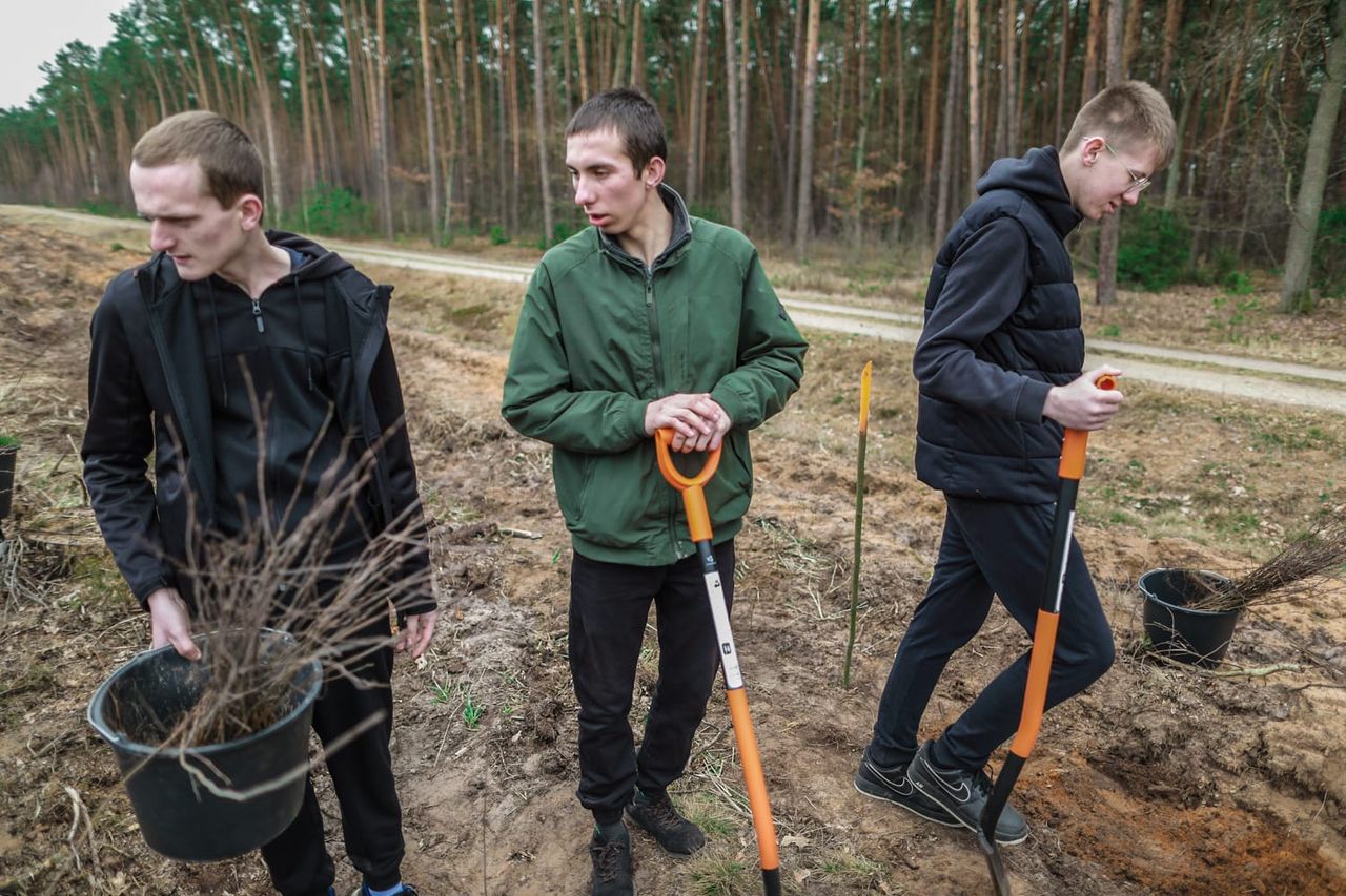 Wiosenne sadzenie drzew!