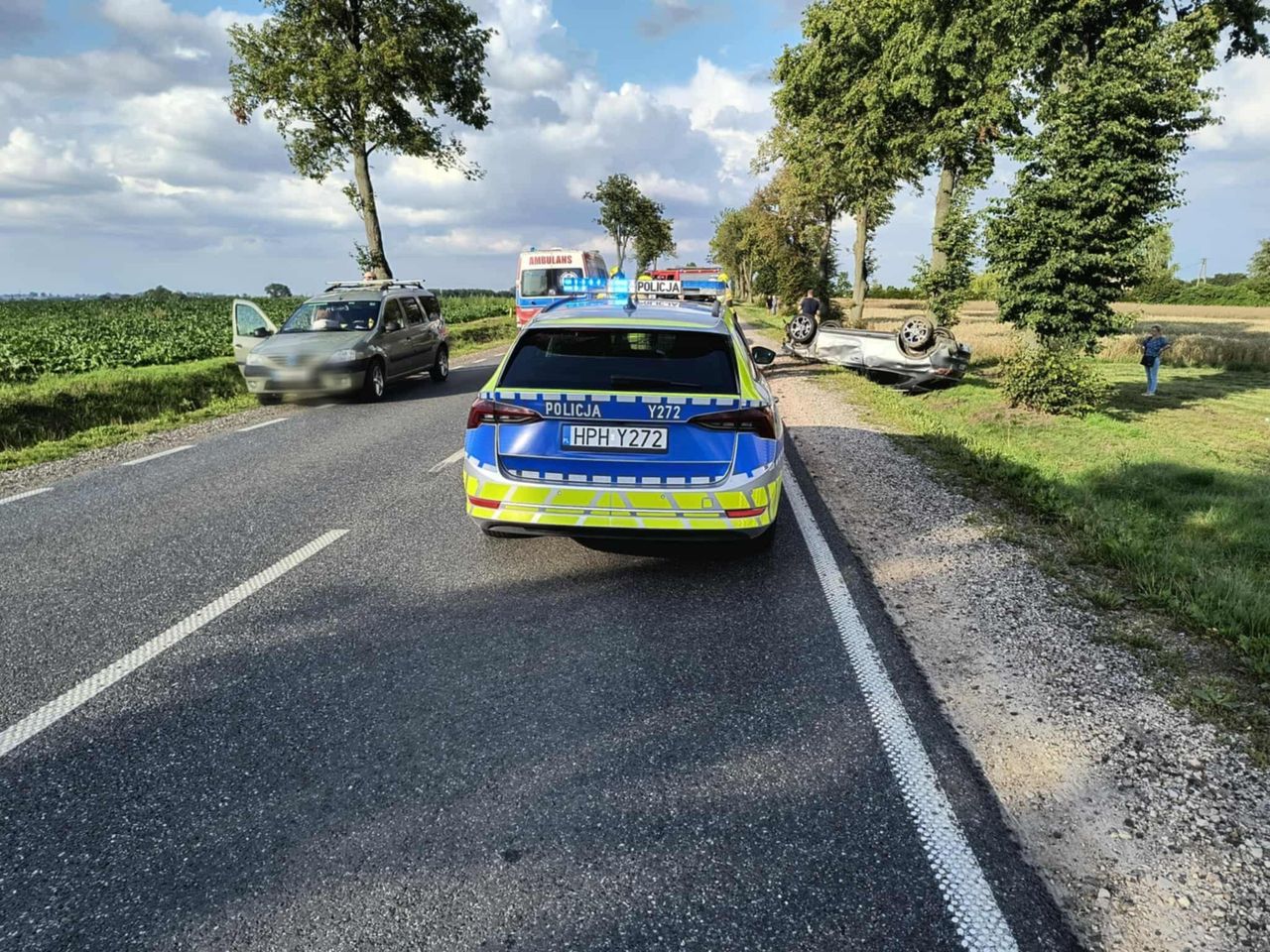 Dachowanie w Tchórzu