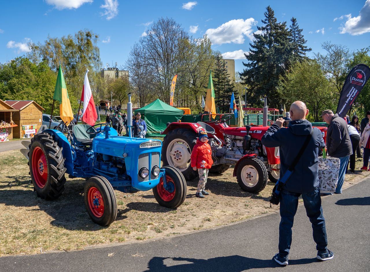 Piła, Wystawa Miasto - Ogród, 2026