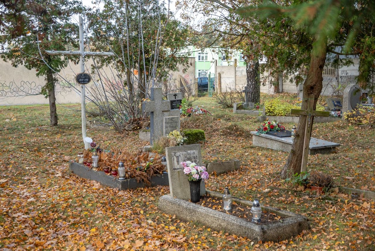 Cmentarz przy al. Powst. Wlkp. w Pile, dawny, stary, Piła
