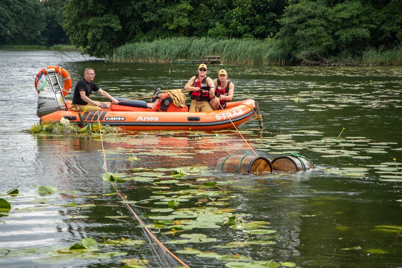 Festyn ogórkowy w Kaliszu Pomorskim, ogórki