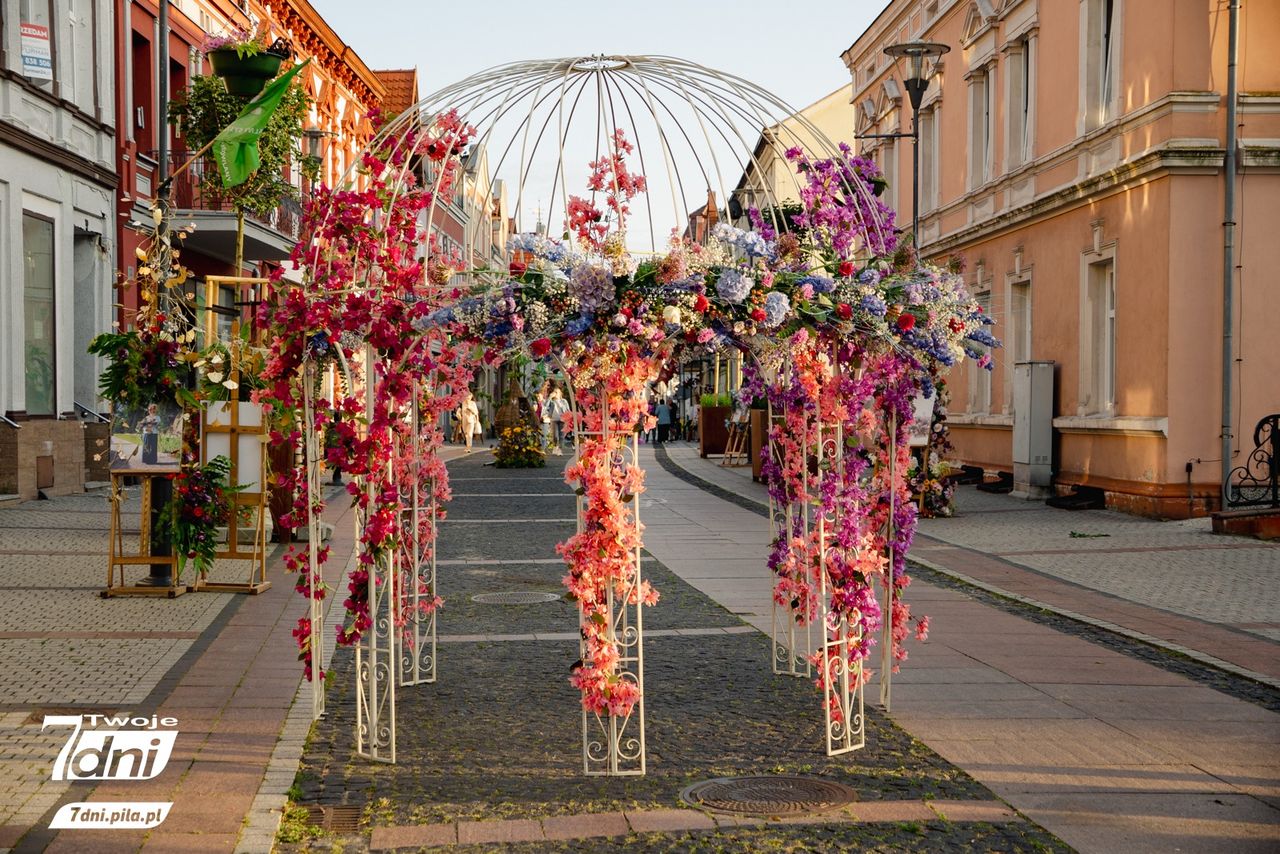 Festiwal Kwiatów, Czarnków