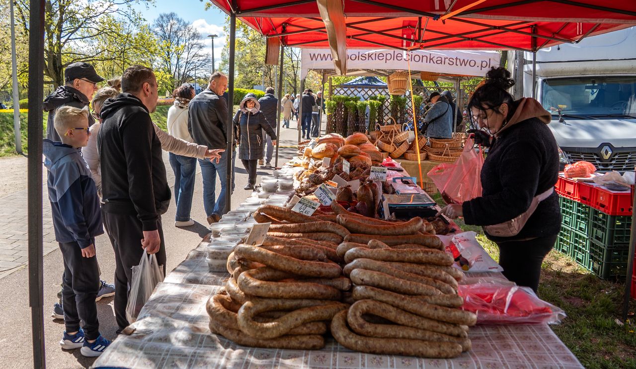 Piła, Wystawa Miasto - Ogród, 2026