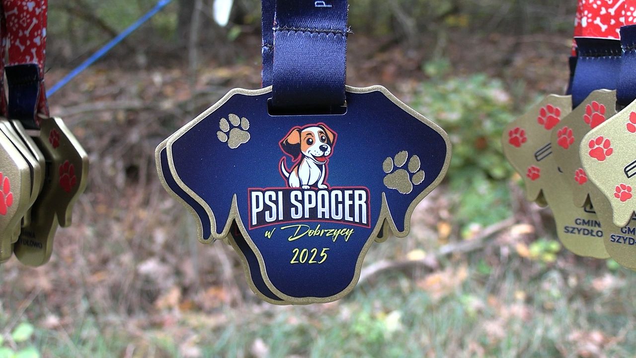 III Psi Spacer w Dobrzycy, psy, Dobrzyca, spacer z psem