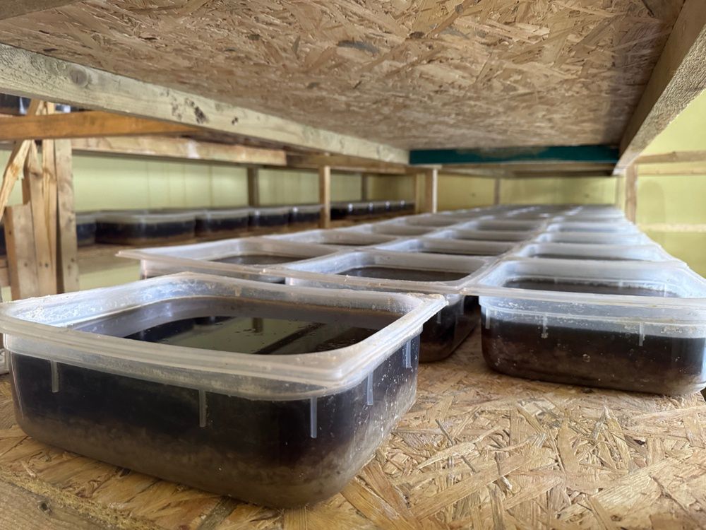 Laboratorium narkotykowe