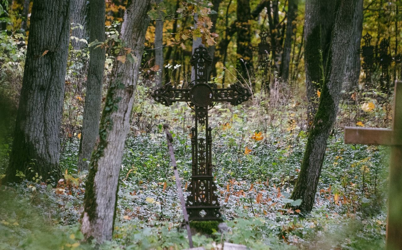 Zabytkowy cmentarz ewangelicki w Pleceminie