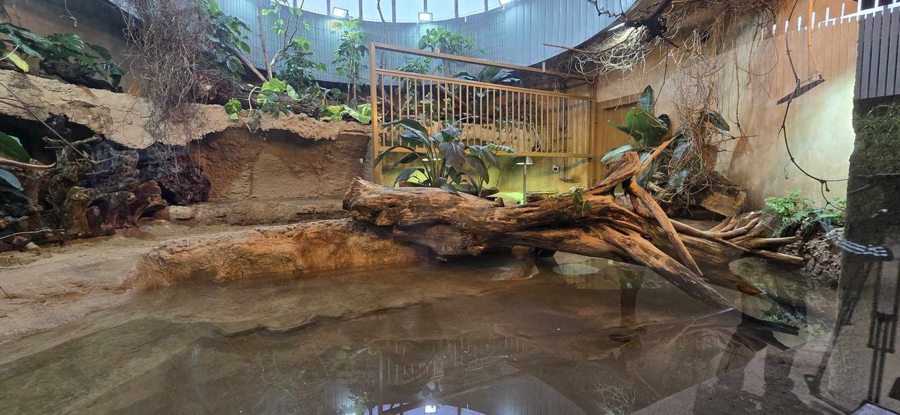 Nowe lokum i mural w ZOO Płock