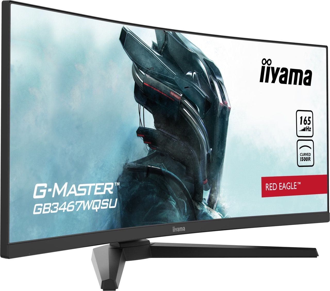 monitor iiyama