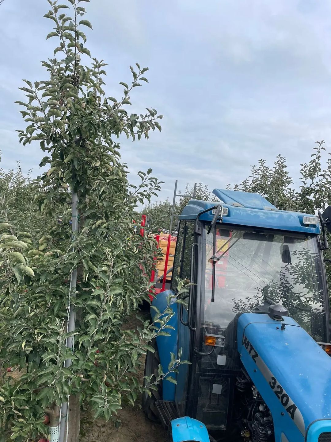Zdjęcie dzięki uprzejmości SpottedAlert.pl