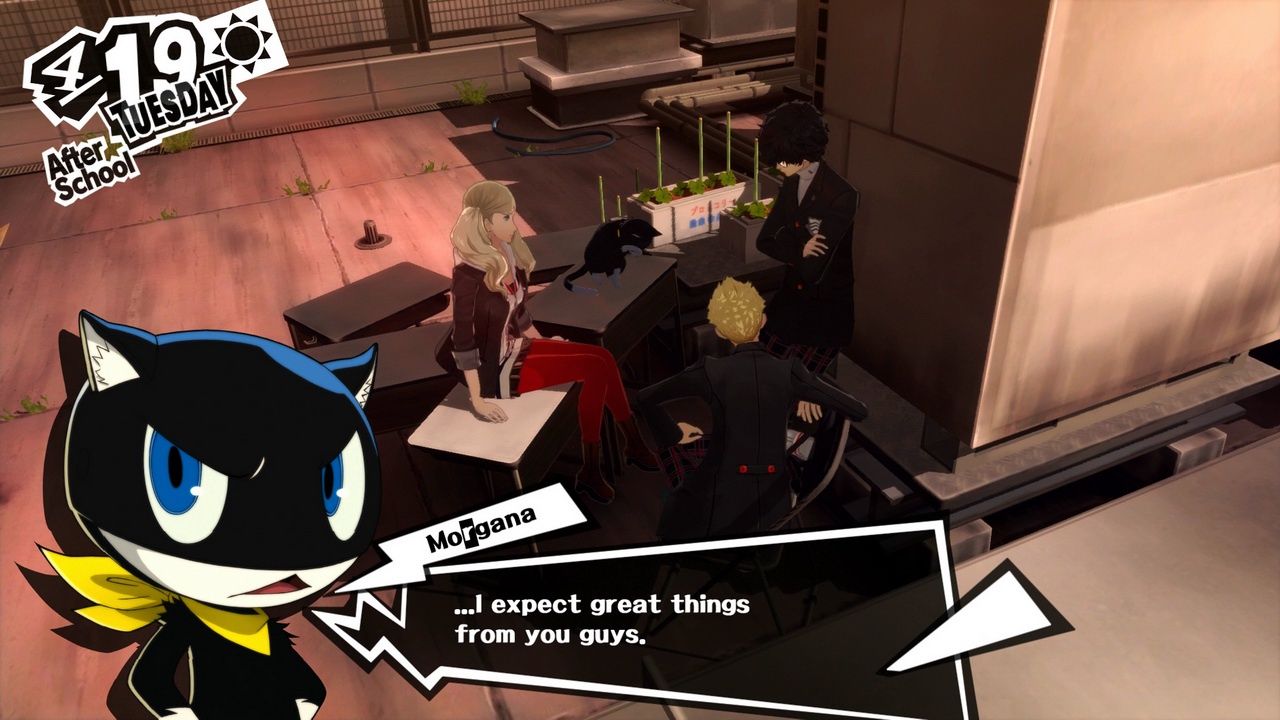 Persona 5 - rozmowa z kotem