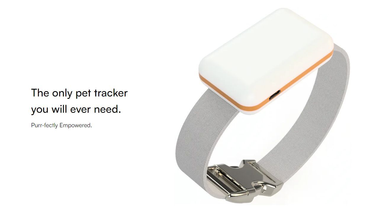 FindMyCat tracker