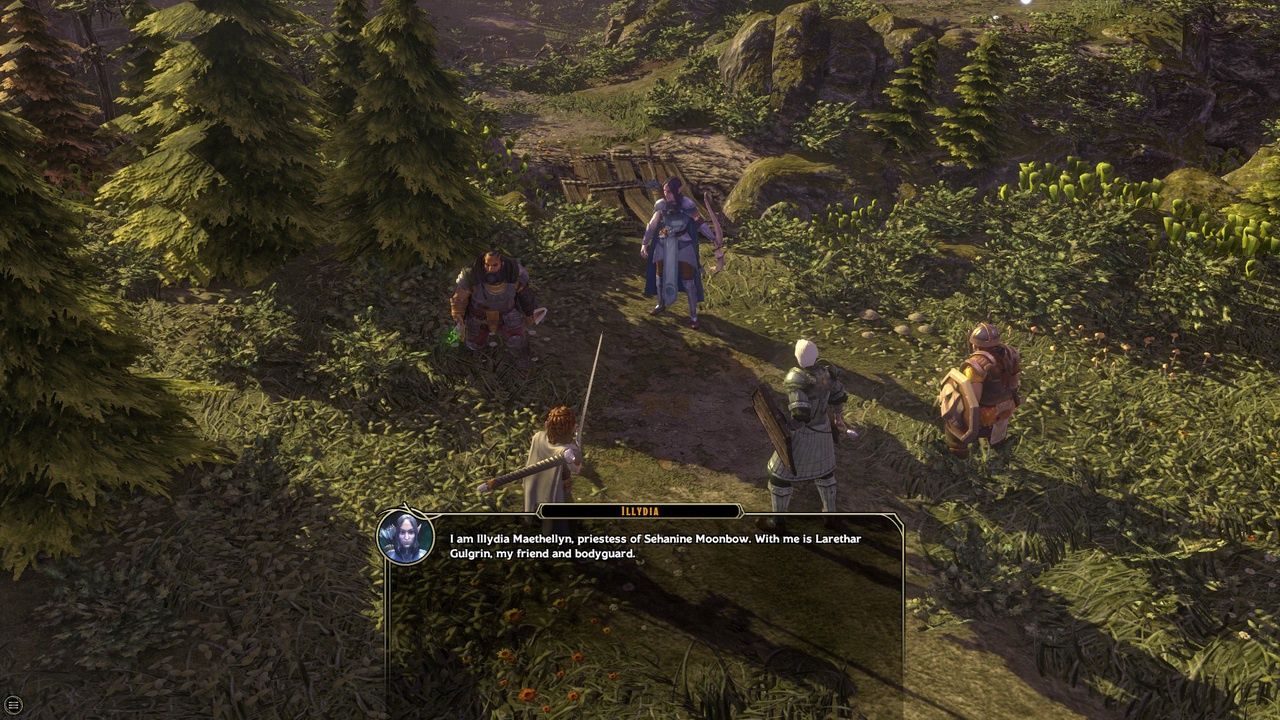 Sword Coast Legends - drużyna