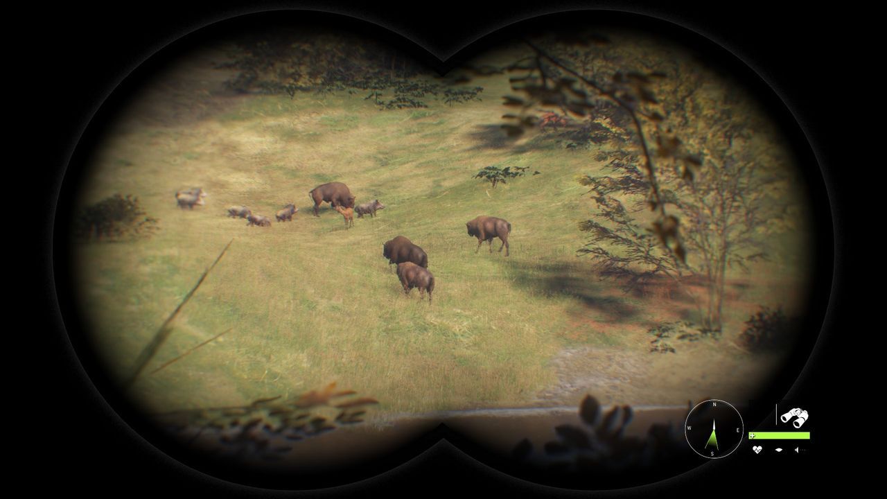 theHunter: Call of the Wild - obserwacja zwierząt przez lornetkę