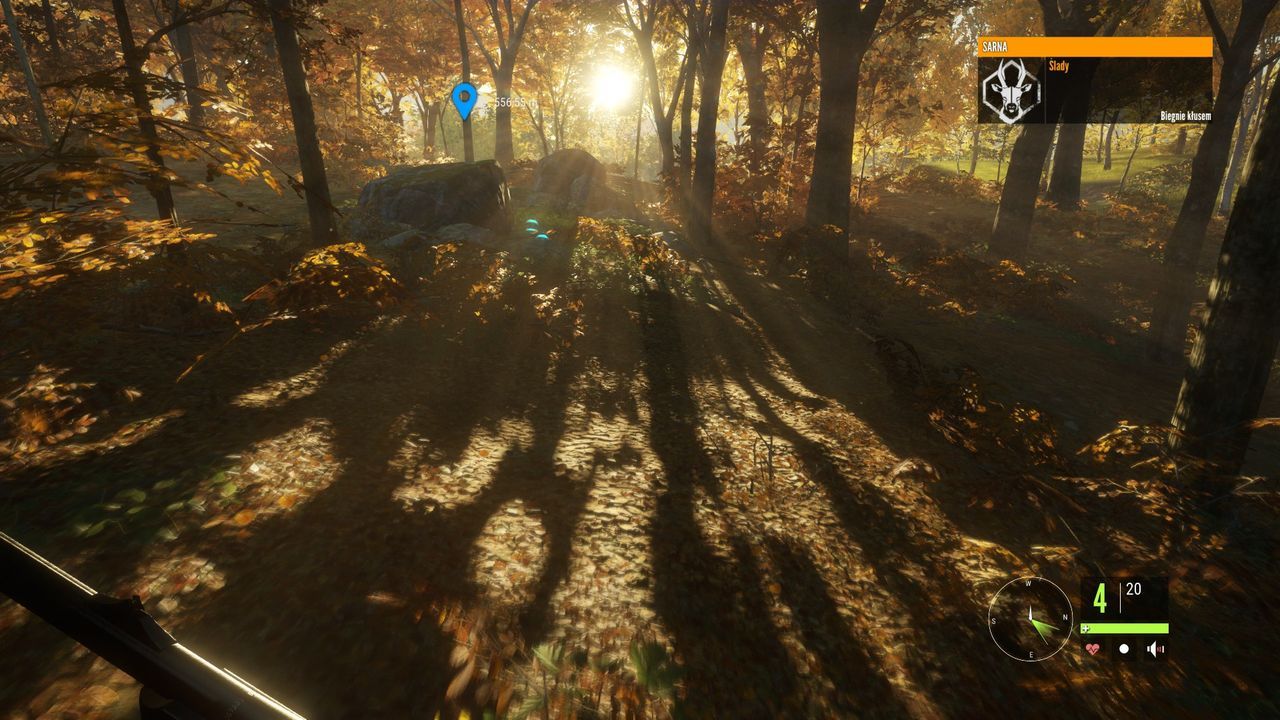 theHunter: Call of the Wild - wyjątkowa oprawa wizualna