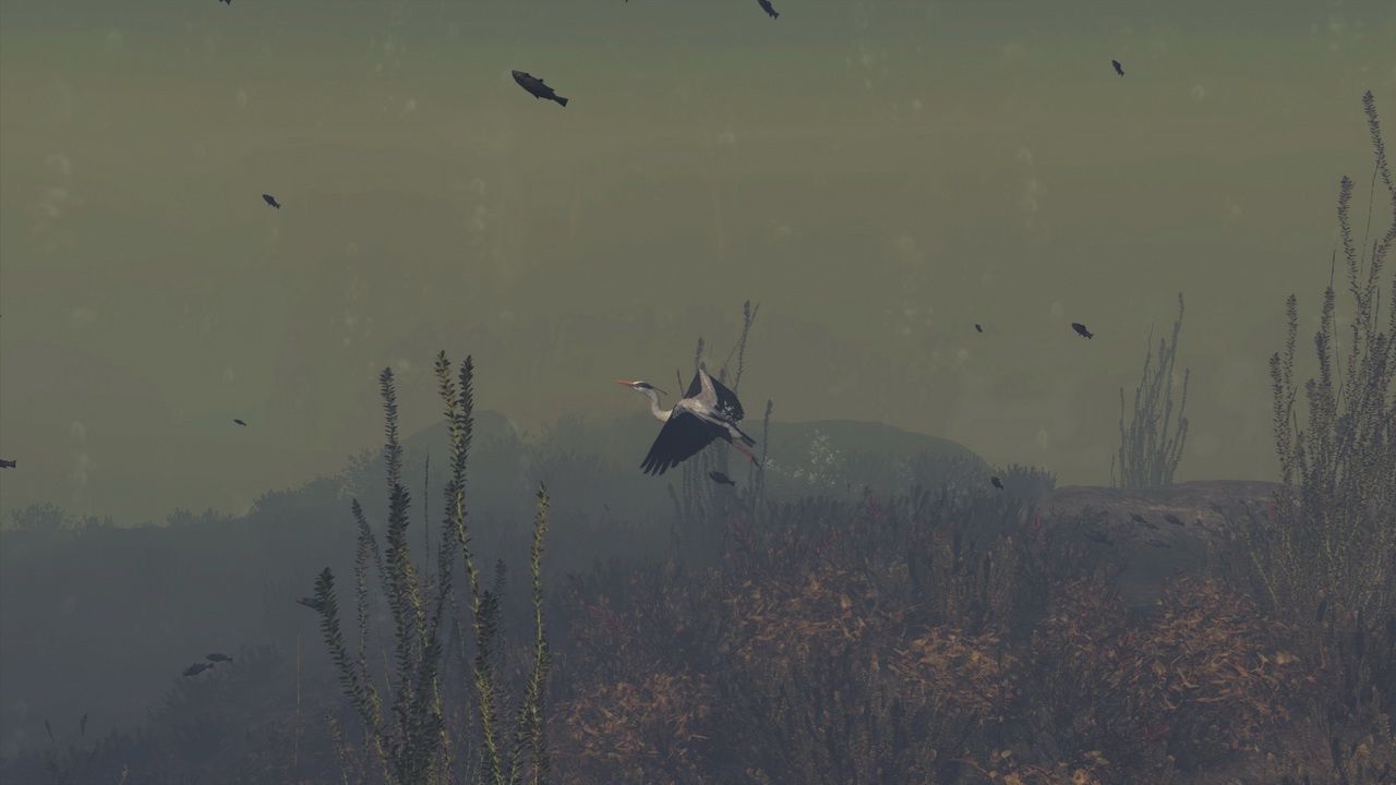 Assassin